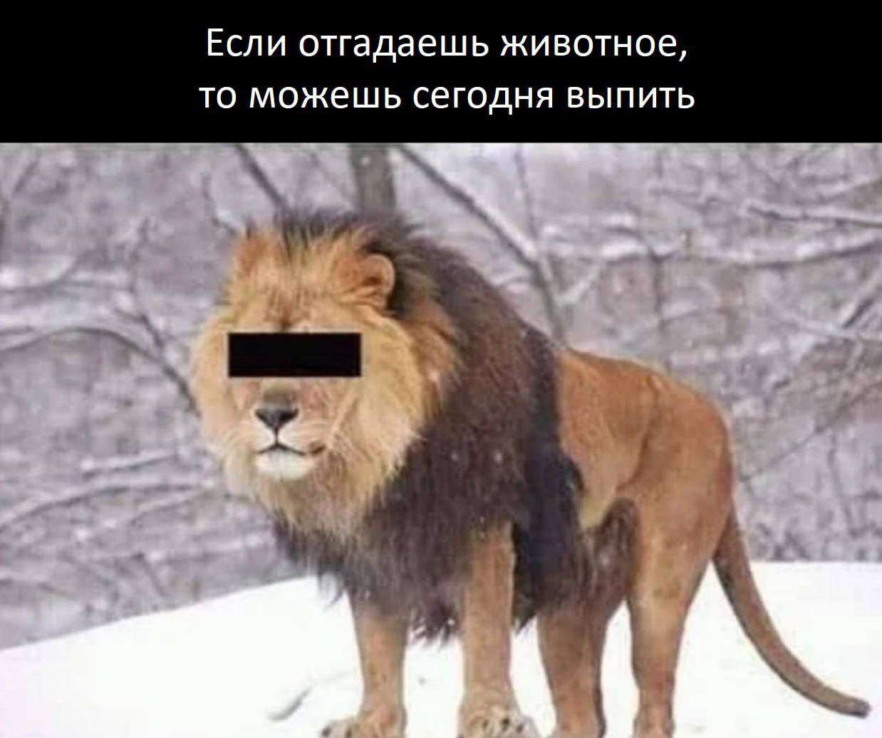 https://upforme.ru/uploads/001b/97/ef/25/146482.jpg