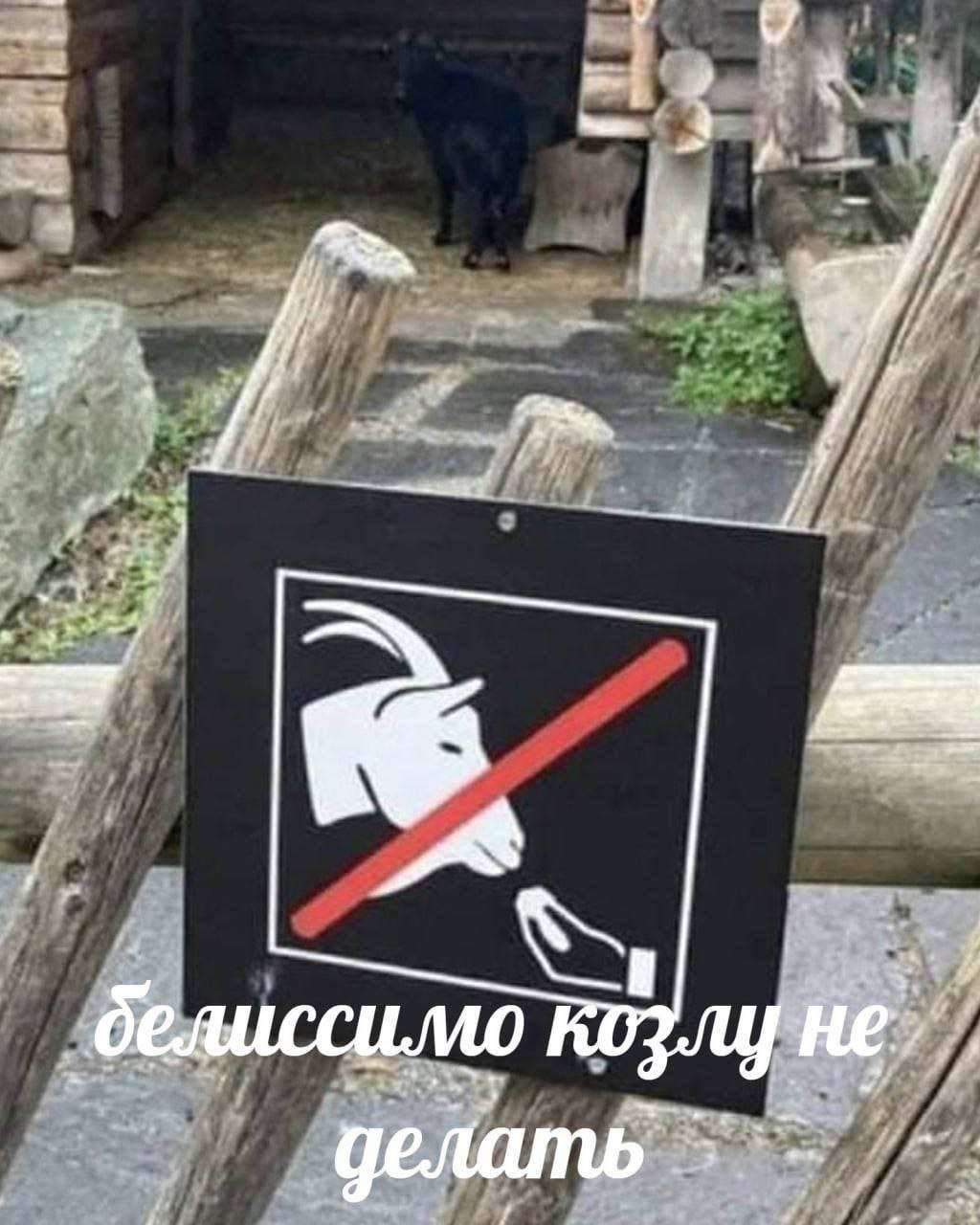 https://upforme.ru/uploads/001b/97/ef/25/465826.jpg