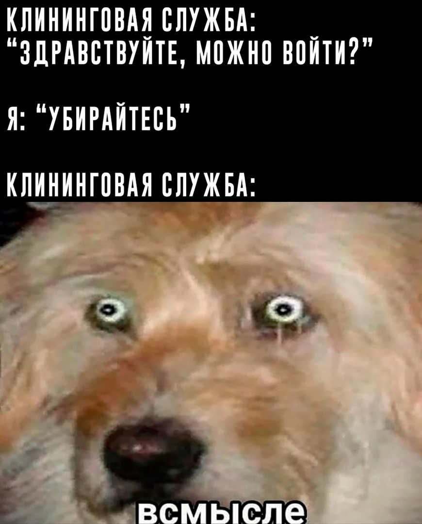 https://upforme.ru/uploads/001b/97/ef/33/315922.jpg
