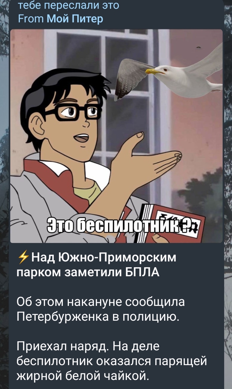 https://upforme.ru/uploads/001b/97/ef/33/395456.jpg