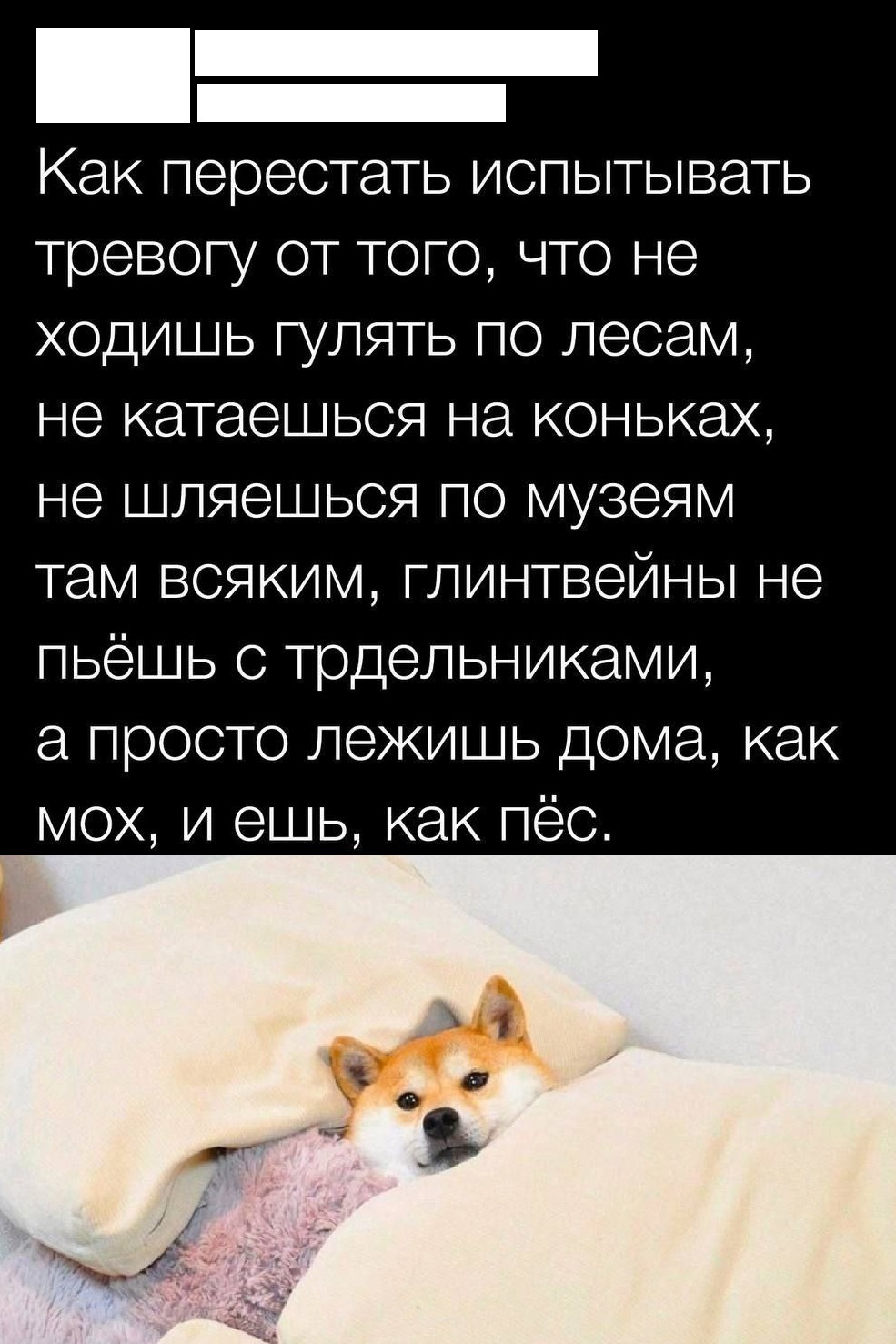 https://upforme.ru/uploads/001b/97/ef/33/694791.jpg