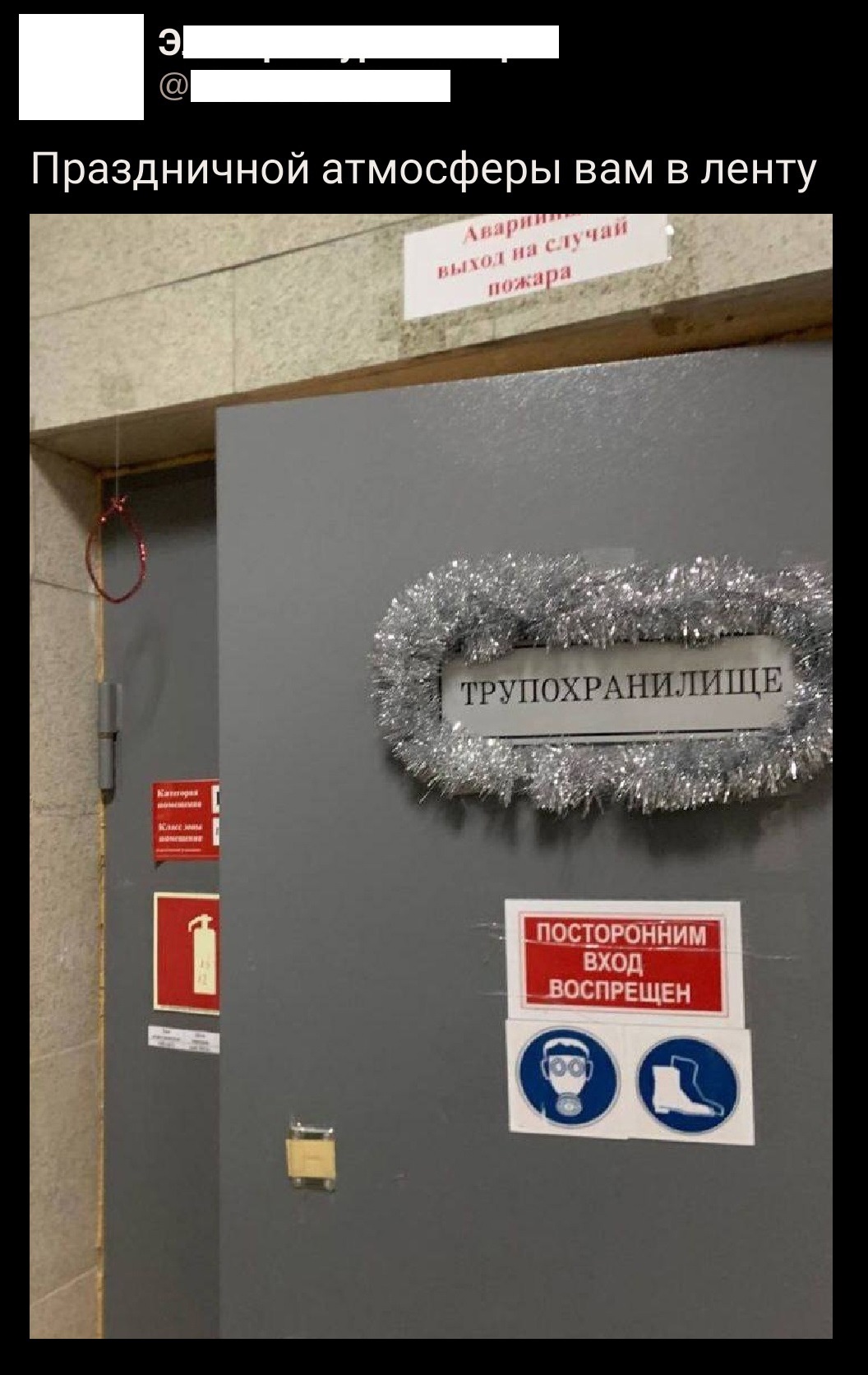 https://upforme.ru/uploads/001b/97/ef/33/891228.jpg