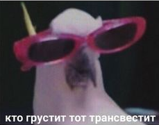 https://upforme.ru/uploads/001b/97/ef/47/136248.png