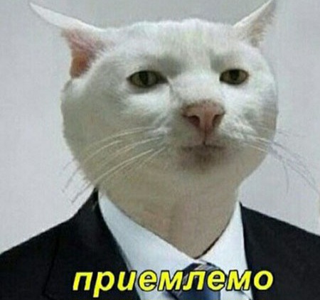 https://upforme.ru/uploads/001b/97/ef/55/949575.jpg