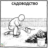 https://upforme.ru/uploads/001b/9b/6c/2/561642.jpg