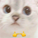 https://upforme.ru/uploads/001b/9c/16/3/560110.png