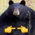 https://upforme.ru/uploads/001b/9d/5d/129/89402.png