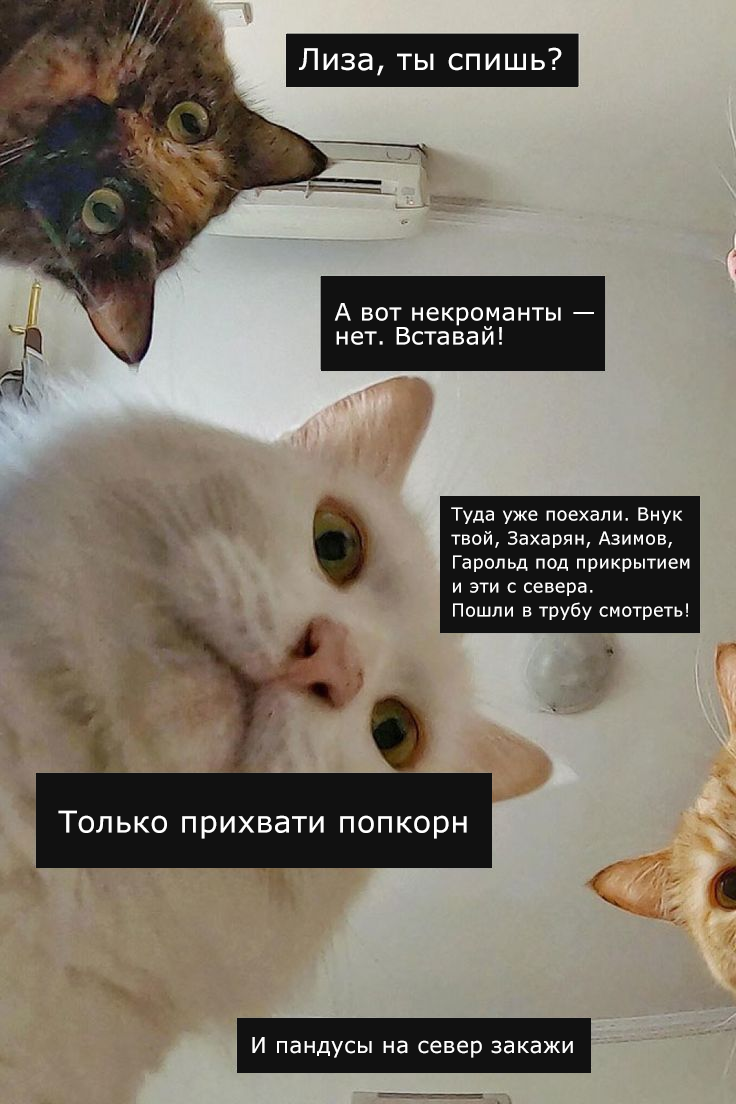 https://upforme.ru/uploads/001b/9e/50/38/125754.png