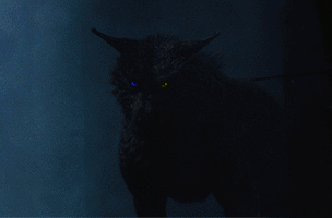 https://upforme.ru/uploads/001b/a1/c4/11/t942022.gif