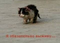 https://upforme.ru/uploads/001b/a1/c4/182/t302979.jpg