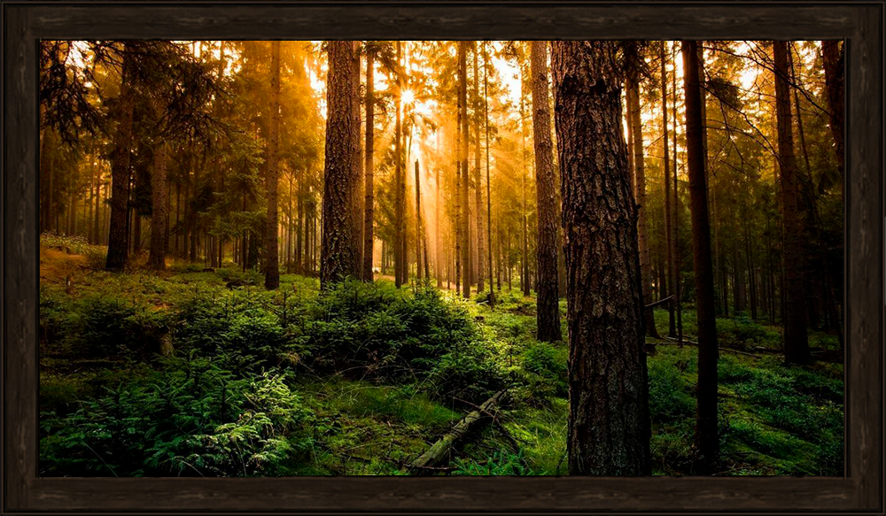 https://upforme.ru/uploads/001b/a1/c4/2/575611.png