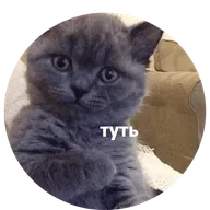 https://upforme.ru/uploads/001b/a1/c4/2/578310.webp