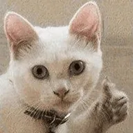 https://upforme.ru/uploads/001b/a1/c4/2/879926.webp