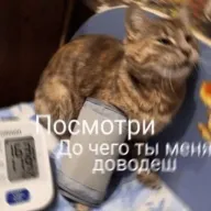 https://upforme.ru/uploads/001b/a1/c4/2/903099.webp