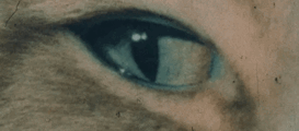 https://upforme.ru/uploads/001b/a1/c4/246/391809.gif