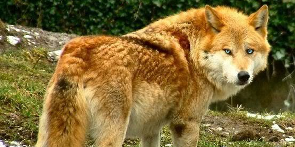 id="img_3"