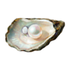 https://upforme.ru/uploads/001b/a1/c4/291/626203.png