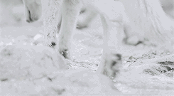 https://upforme.ru/uploads/001b/a1/c4/8/103229.gif