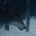 https://upforme.ru/uploads/001b/a1/c4/8/174790.gif