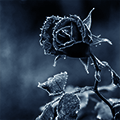 https://upforme.ru/uploads/001b/a1/c4/8/242708.png