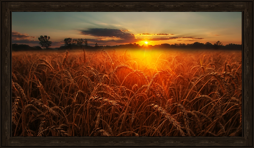 https://upforme.ru/uploads/001b/a1/c4/8/401809.png