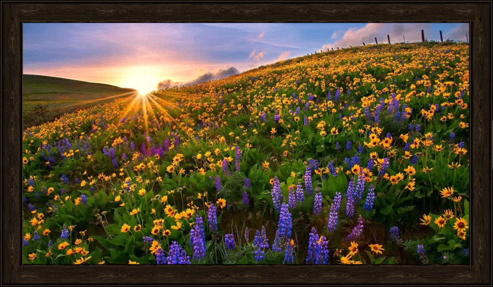 https://upforme.ru/uploads/001b/a1/c4/8/572576.png