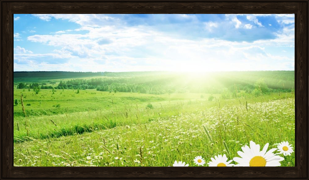 https://upforme.ru/uploads/001b/a1/c4/9/125490.png