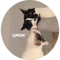 https://upforme.ru/uploads/001b/a1/c4/9/193379.webp