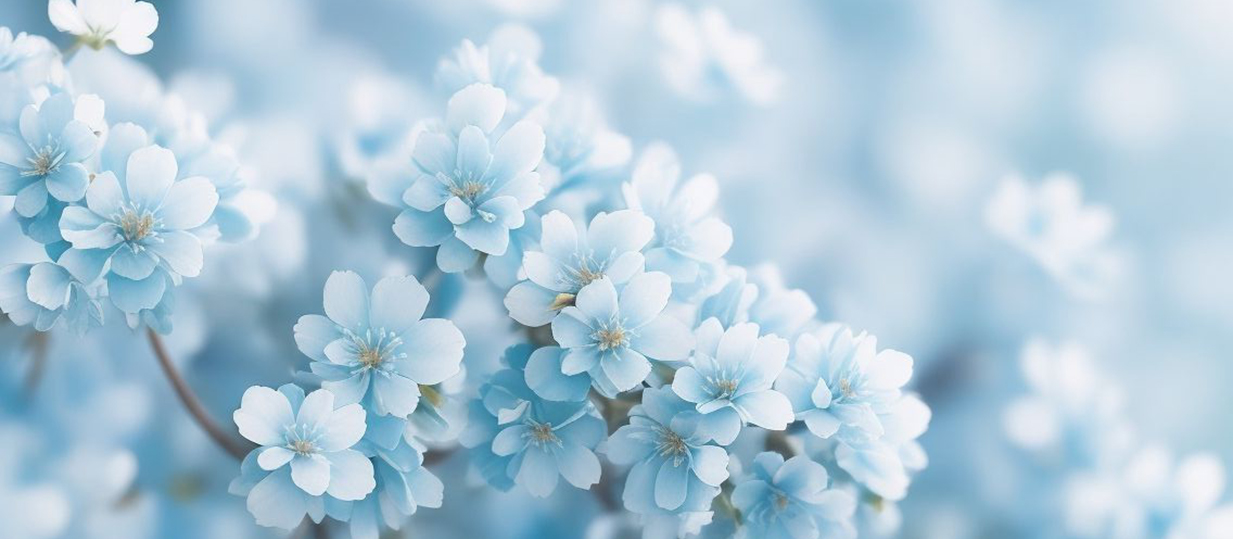 https://upforme.ru/uploads/001b/a1/c4/9/309231.jpg