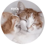 https://upforme.ru/uploads/001b/a1/c4/9/550375.webp