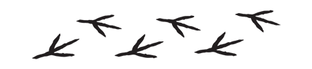 https://upforme.ru/uploads/001b/a1/c4/9/757244.png
