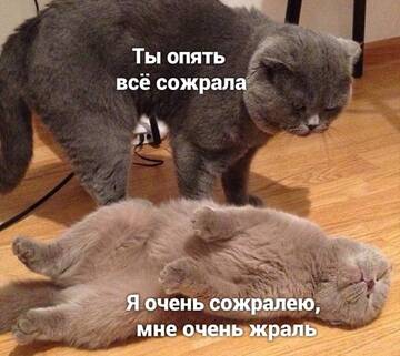 https://upforme.ru/uploads/001b/a2/9e/3/t124895.jpg