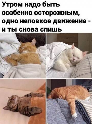 https://upforme.ru/uploads/001b/a2/9e/3/t231880.jpg
