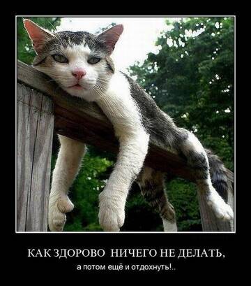 https://upforme.ru/uploads/001b/a2/9e/3/t240269.jpg