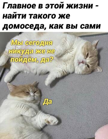 https://upforme.ru/uploads/001b/a2/9e/3/t240329.jpg