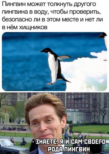 https://upforme.ru/uploads/001b/a2/9e/3/t320734.jpg