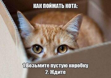 https://upforme.ru/uploads/001b/a2/9e/3/t357851.jpg