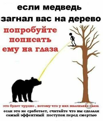 https://upforme.ru/uploads/001b/a2/9e/3/t437607.jpg