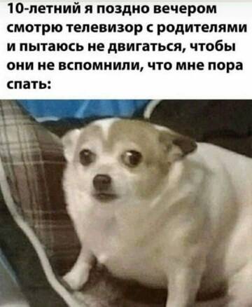 https://upforme.ru/uploads/001b/a2/9e/3/t51753.jpg