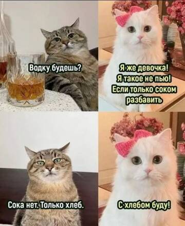 https://upforme.ru/uploads/001b/a2/9e/3/t561975.jpg