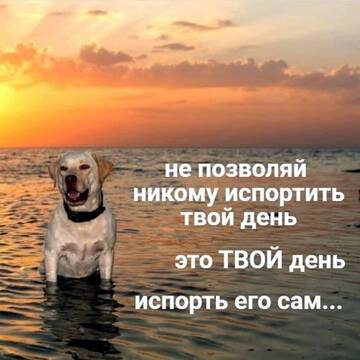 https://upforme.ru/uploads/001b/a2/9e/3/t637088.jpg