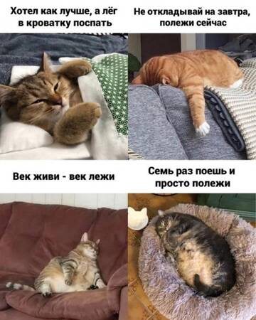 https://upforme.ru/uploads/001b/a2/9e/3/t678515.jpg