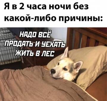https://upforme.ru/uploads/001b/a2/9e/3/t728939.jpg