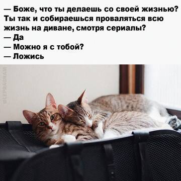 https://upforme.ru/uploads/001b/a2/9e/3/t789650.jpg