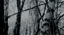 https://upforme.ru/uploads/001b/a3/62/2/220199.gif