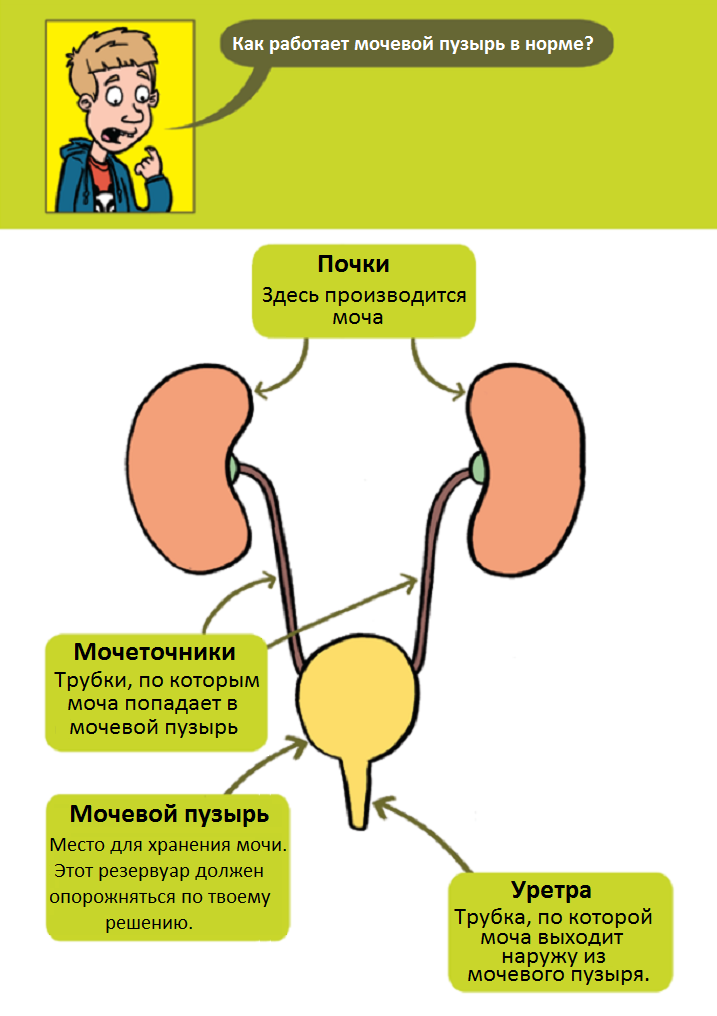 https://upforme.ru/uploads/001b/a3/de/2/631684.png
