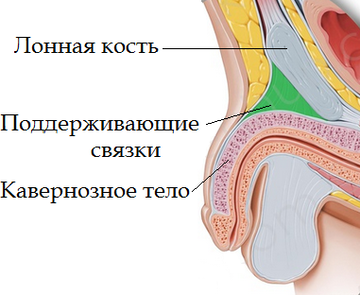 https://upforme.ru/uploads/001b/a3/de/2/t102430.png