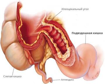https://upforme.ru/uploads/001b/a3/de/2/t161920.jpg