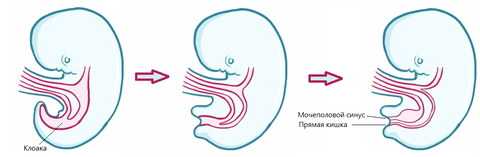 https://upforme.ru/uploads/001b/a3/de/2/t166785.png