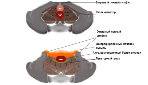 https://upforme.ru/uploads/001b/a3/de/2/t184499.png